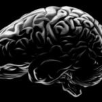 imagem de um cerebro