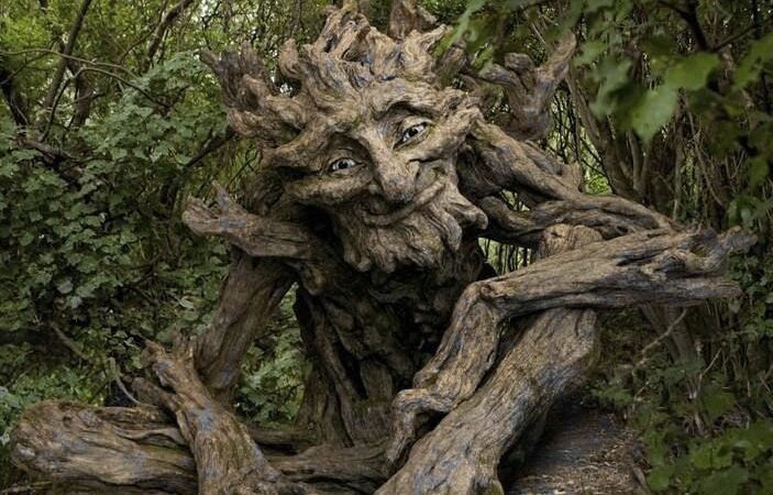 A árvore que anda: mito, mistério ou ciência?
