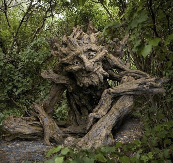 foto de uma arvore com formato de humano