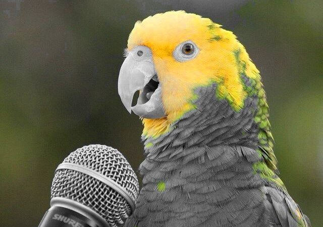 A Inacreditável Expedição dos Papagaios: quando o Brasil misturou espionagem e aves exóticas